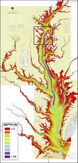 Chesapeake Bay Model courtesy of the Chesapeake Bay Program
